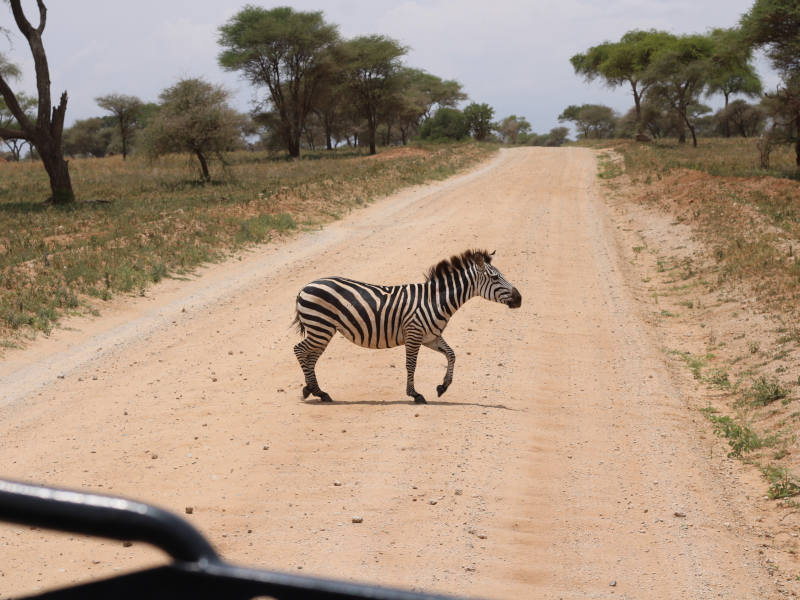 Discover Tanzania’s Best Beaches