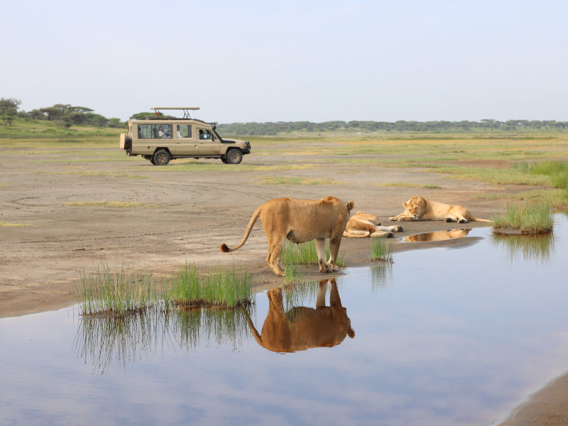 Tarangire National Park - Serengeti National Park photo 1