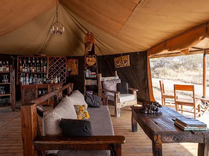 Serengeti National Park (Seronera ) Full Day photo 2