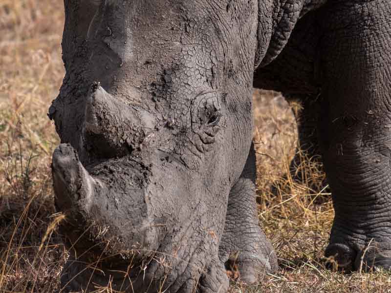 From Arusha to Ngorongoro Crater Safari photo 2