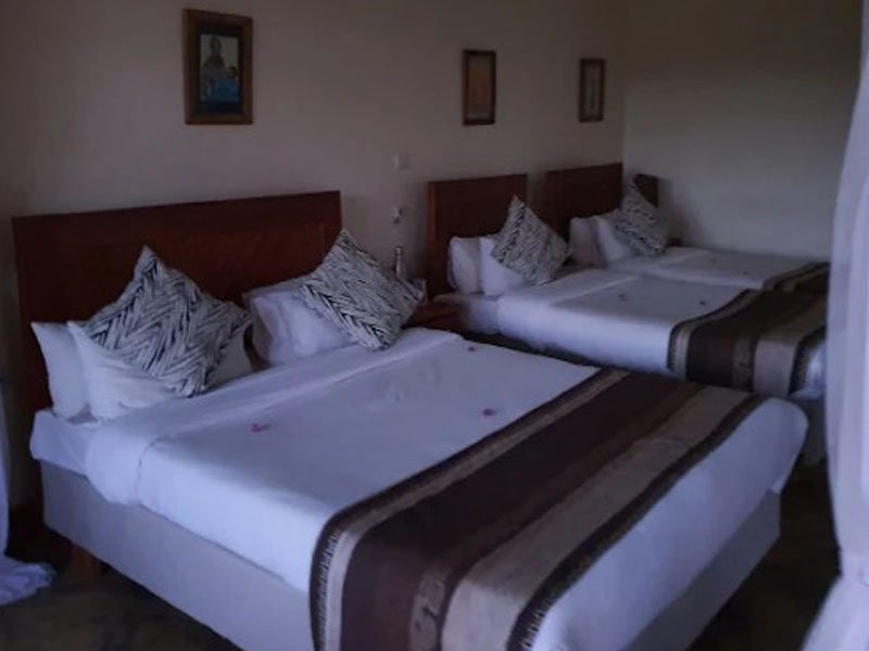 Arusha Town – Tarangire National Park – Karatu photo 2