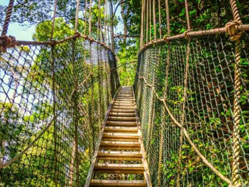 Lake Manyara Canopy Walk – Mto wa Mbu Cultural Experience – Karatu photo 1