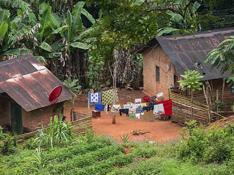 From Moshi town to Marangu village photo 1