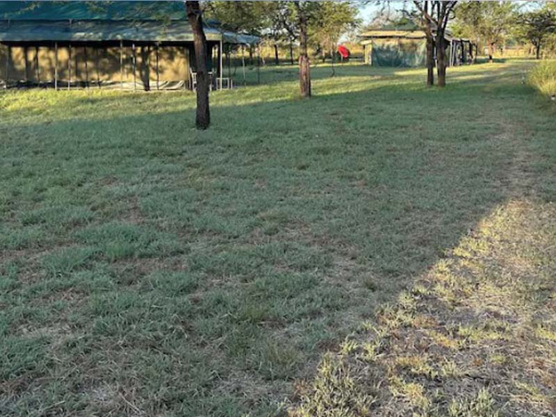 Arusha to Serengeti National Park photo 1