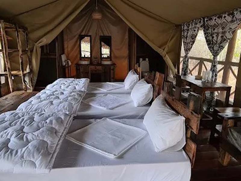 Fly from Zanzibar to Nyerere for Amazing Game drive photo 2