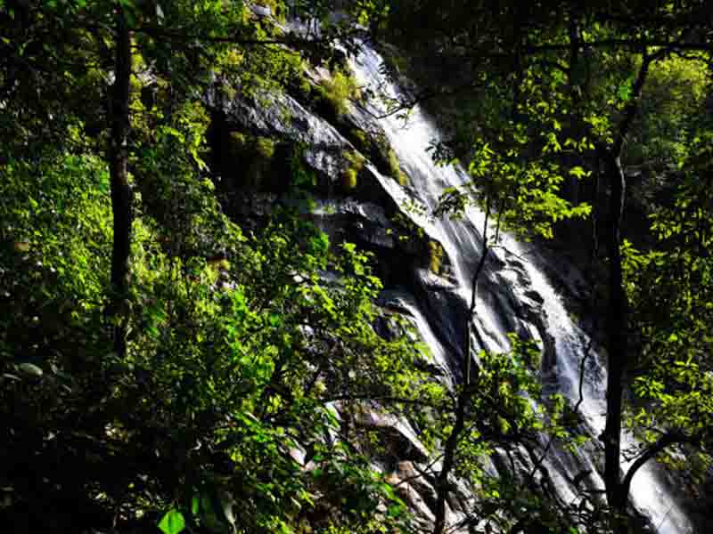 Pick up from your accommodation in Udzungwa/Mikumi to Udzungwa hiking point. photo 1