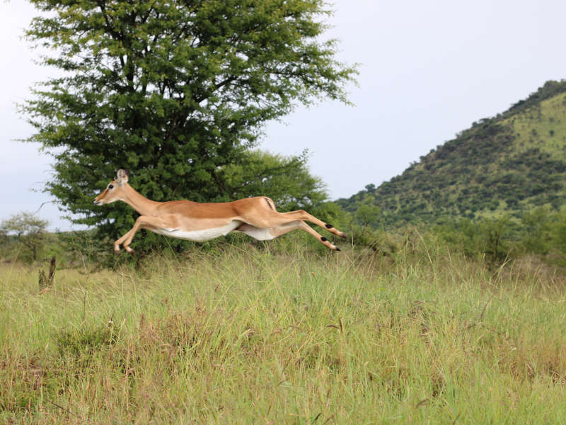 Arusha - Lake Manyara National Park - Lake Eyasi photo 1