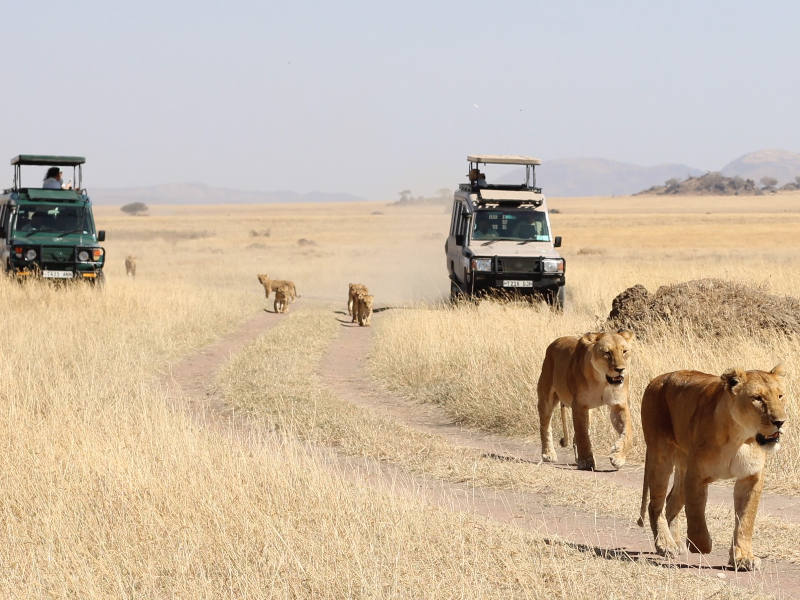 Ngorongoro Crater - Kilimanjaro International Airport (JRO) photo 1