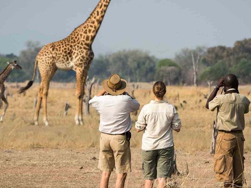 From Arusha City to Arusha National Park photo 2