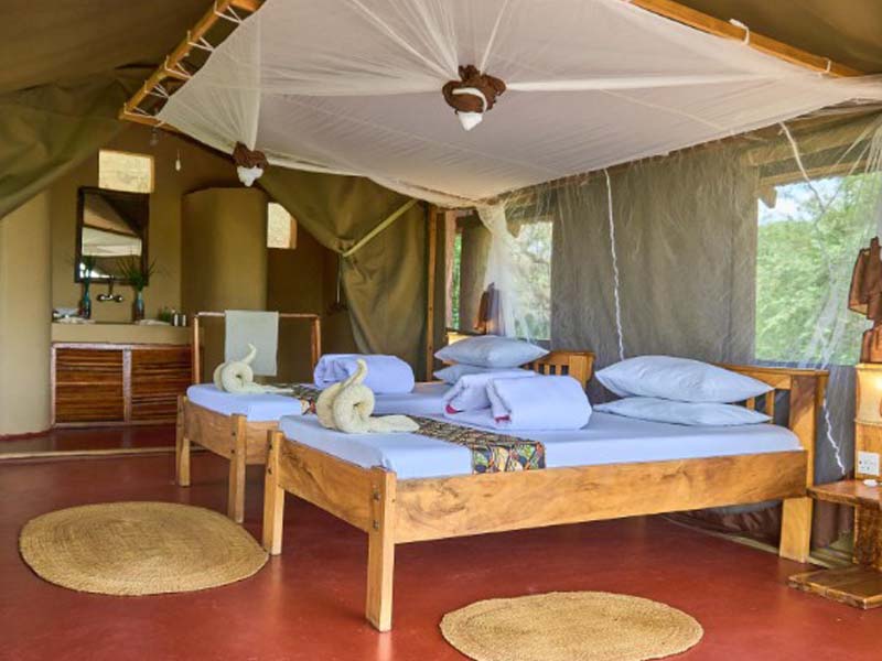 Western Serengeti National Park Full Day photo 2