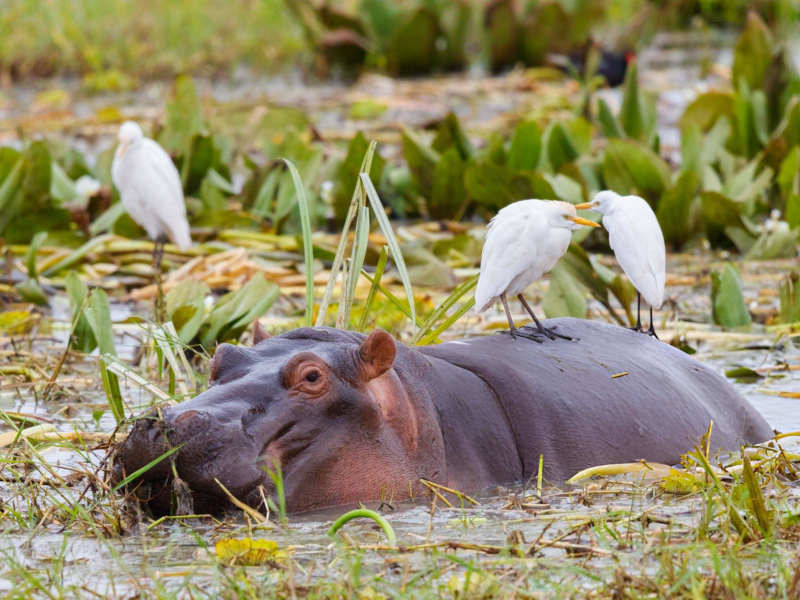 Arusha Town- Lake Manyara National Park - Mto Wa Mbu photo 2