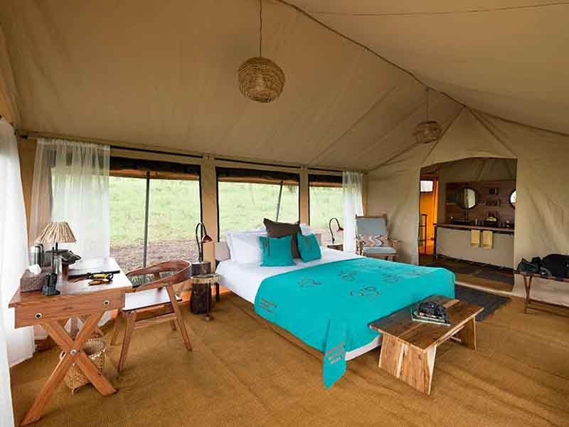 Full Day Game Drive in Serengeti National Park photo 2