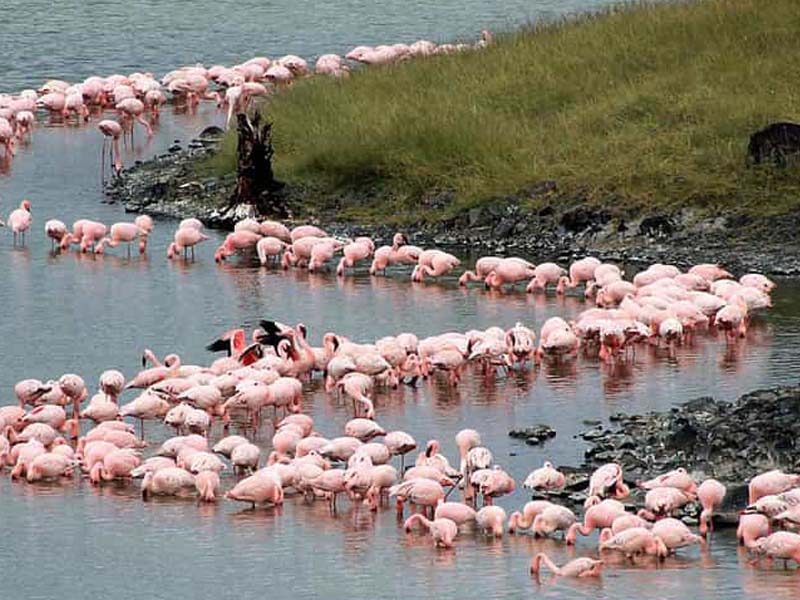 Day description photo 1