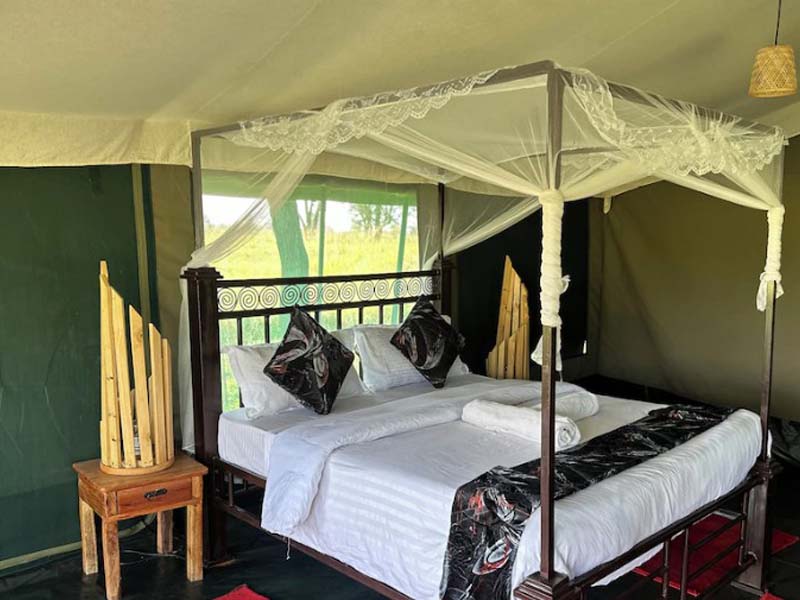 Serengeti National Park (Seronera ) Full Day photo 2
