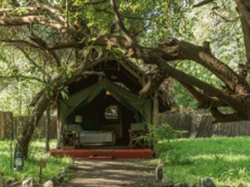 From Arusha to Lake Natron photo 1
