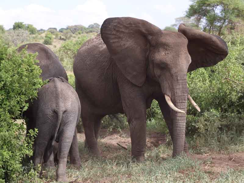 Day description photo 1