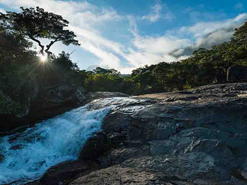 Pick up from your accommodation in Udzungwa/Mikumi to Udzungwa hiking point. photo 2