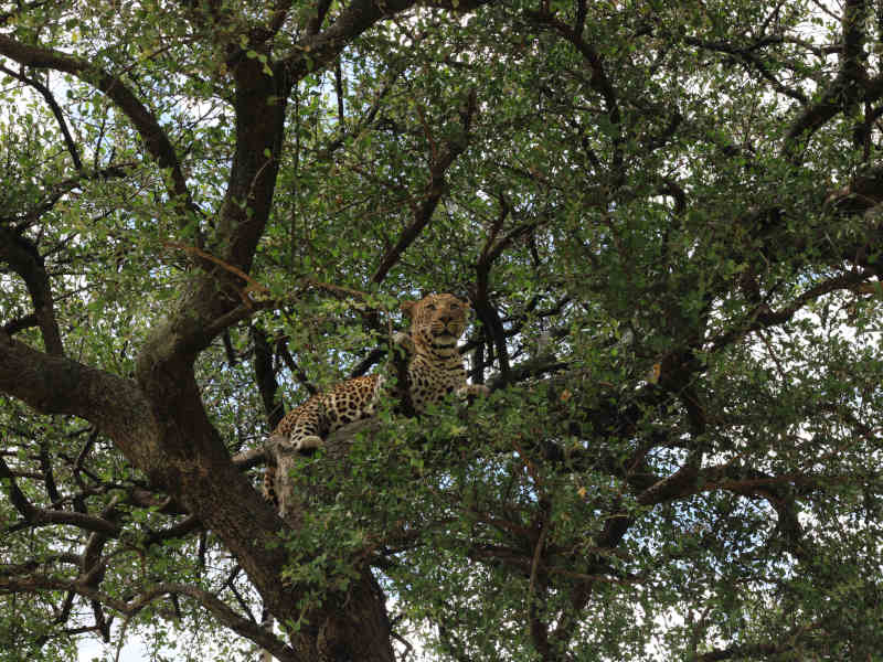 Arusha Town - Lake Manyara National Park - Lake Eyasi photo 1