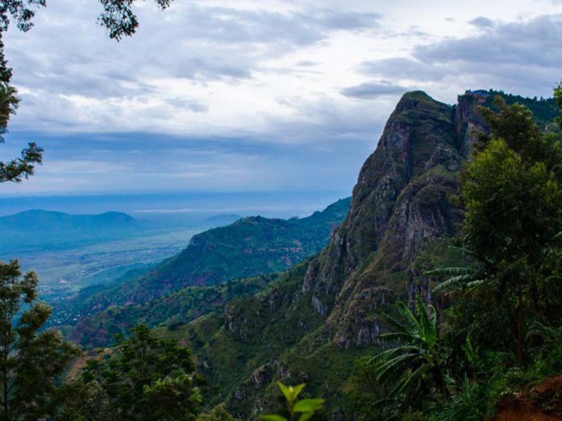 Full Day Trekking at Usambara Mountains photo 1