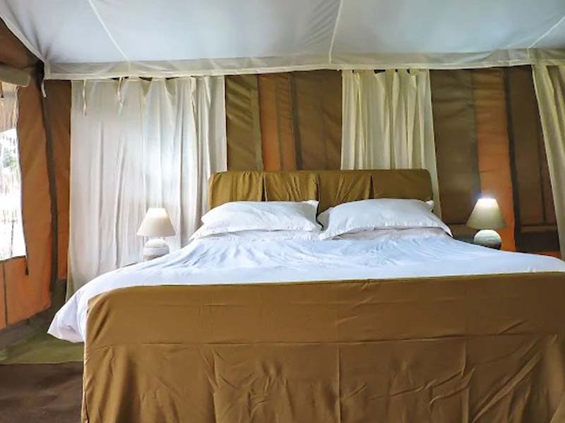 Ngorongoro Crater - Serengeti (Lobo Area) photo 2