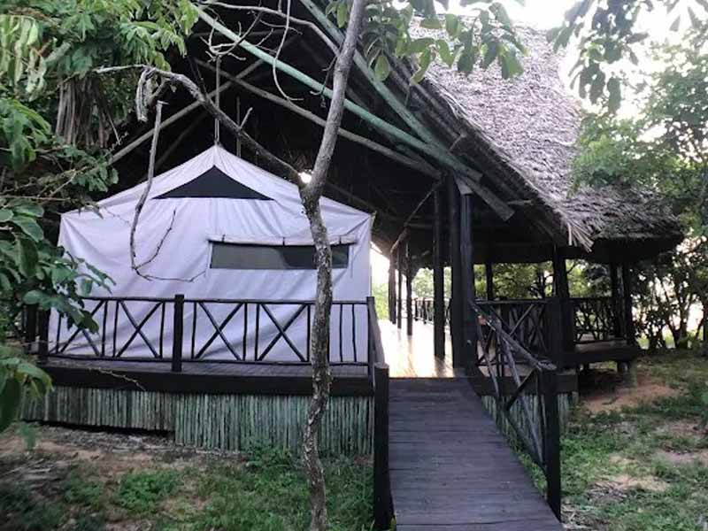 Day 2: Full-Day Game Drive in Selous Game Reserve photo 2