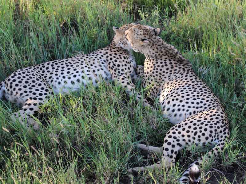 From Karatu to Serengeti National Park photo 2