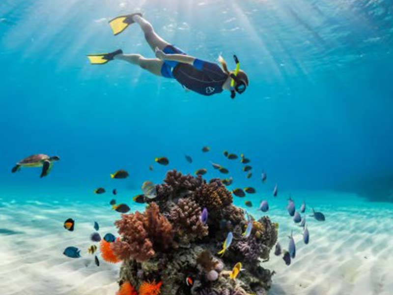 Zanzibar Beach Holiday photo 2