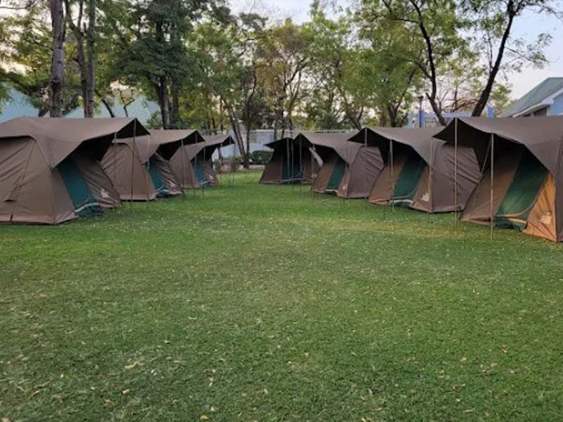 Arusha Town - Tarangire National Park photo 2