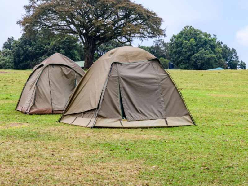 Serengeti National Park → Ngorongoro Crater photo 2