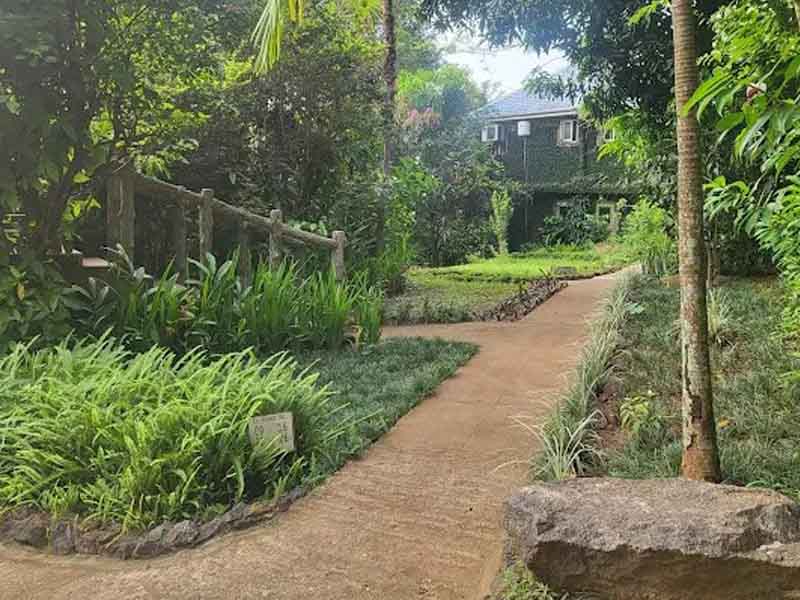 From Dar es Salaam to Udzungwa Mountains National Park photo 1