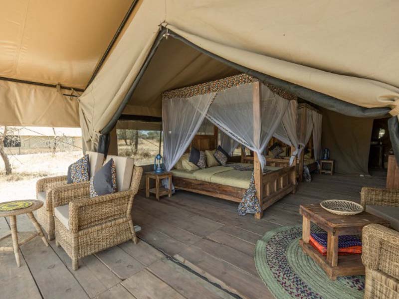 Serengeti National Park - Ngorongoro Conservation Area photo 2