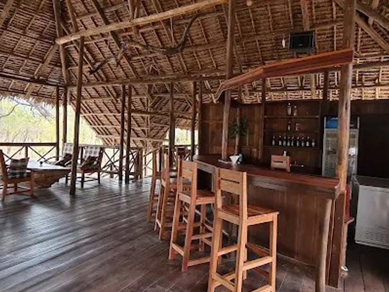 Day 4: Full-Day Game Drive in Nyerere National Park photo 2