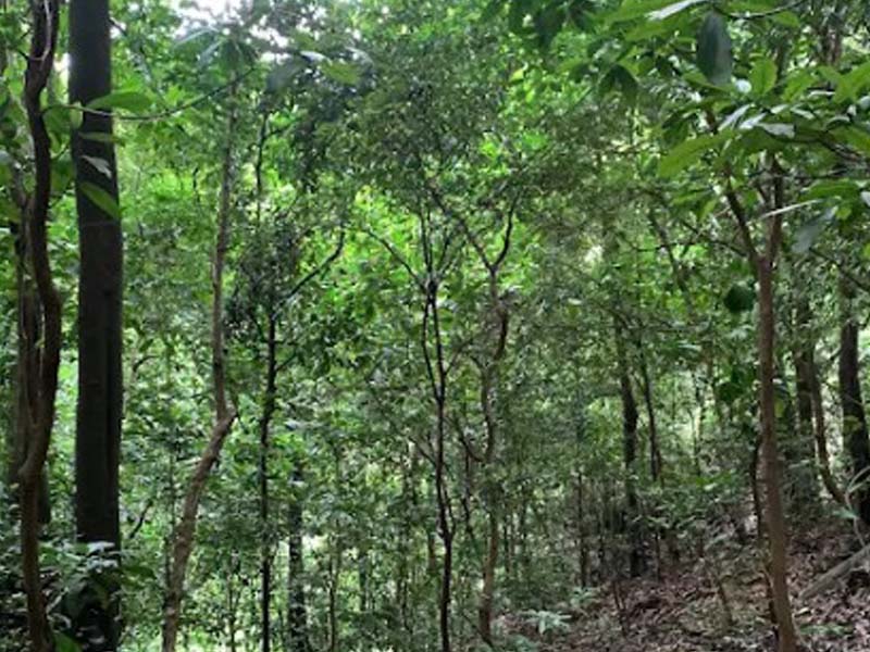 Udzungwa Mountains – Return to Dar es Salaam photo 2