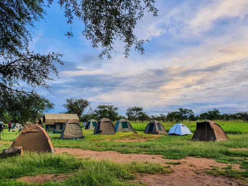 Serengeti National Park (Seronera ) Full Day photo 2