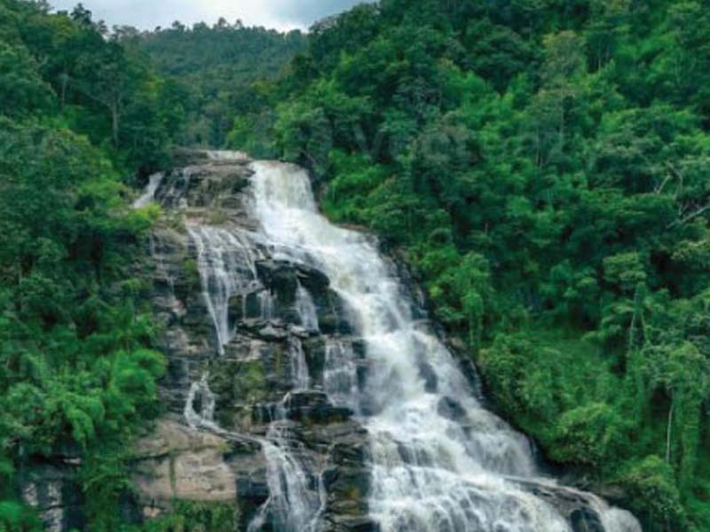 Full-Day Forest & Waterfall Hike photo 2