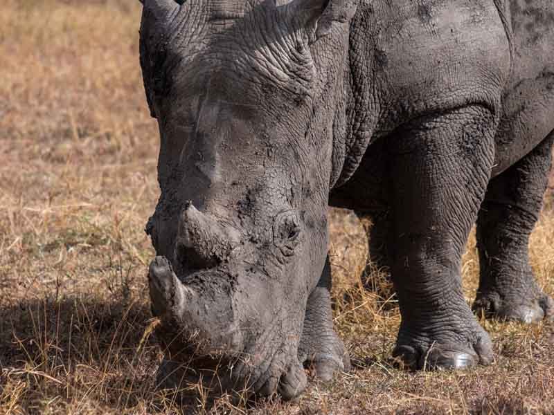 Ngorongoro Crater - Departure photo 1