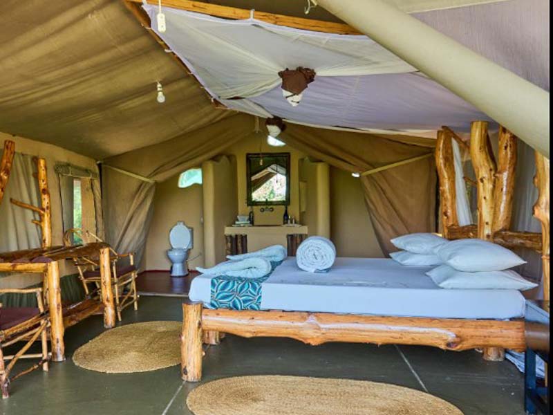 Western Serengeti National Park Full Day photo 2