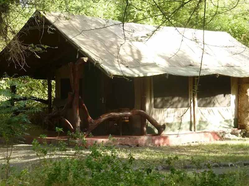 Arusha – Lake Natron photo 1