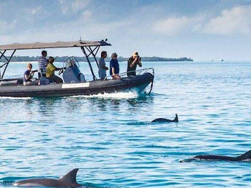 Kizimkazi ( Dolphine Watching ) photo 2