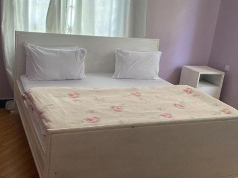 Usambara Mountains Forest & Waterfall Trek photo 1