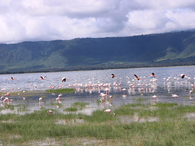 Tarangire National Park - Lake Manyara National Park photo 1