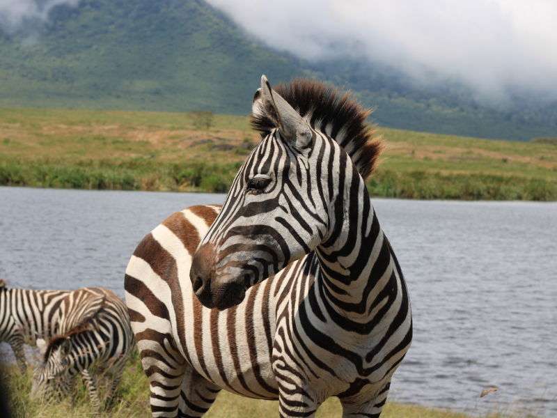 Arusha Town - Arusha National Park photo 1