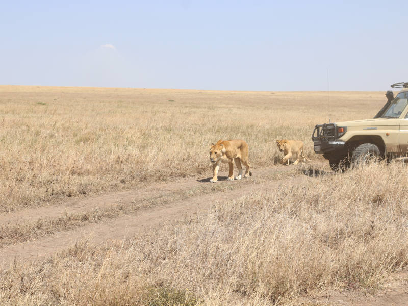 Ngorongoro Crater - Kilimanjaro International Airport photo 2