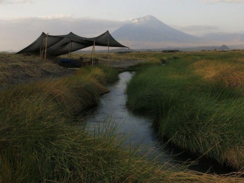 Lake Natron – return to Arusha photo 1