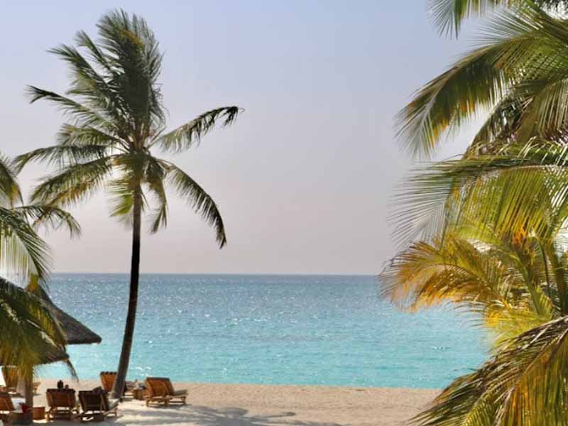 Beach Relaxation photo 1