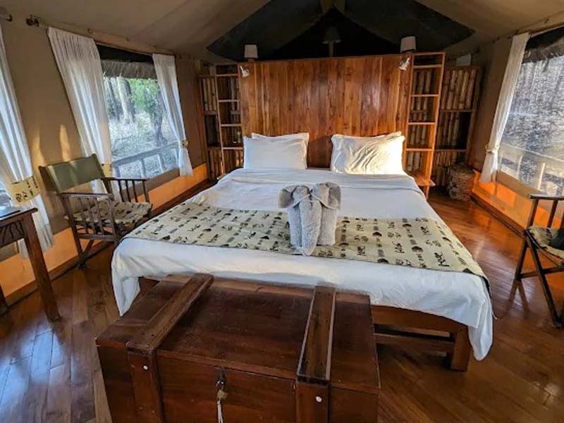 Dar es Salaam to Mikumi National Park – Game Drive Adventure photo 2