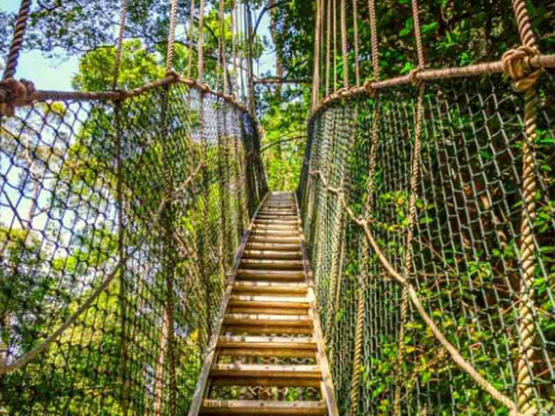 Mto wa Mbu → Cultural tour experience → Canopy at Lake Manyara National Park photo 1