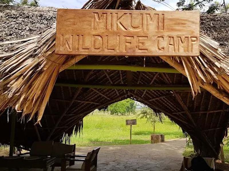 Mikumi National Park Safari photo 1