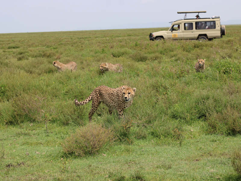 Ngorongoro Crater - Kilimanjaro International Airport (JRO) photo 1