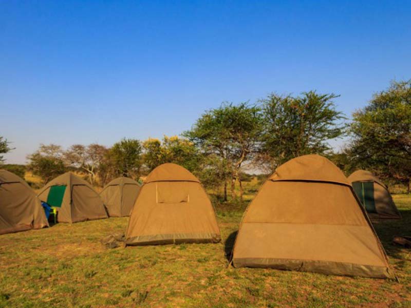 Arusha Town → Serengeti National Park photo 2